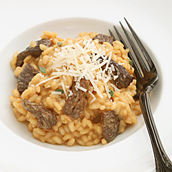 Morel Risotto - Recipe photo by Lucy Vaserfirer