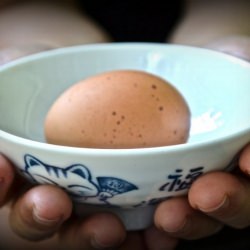 Milk Bread and Its Secret - Recipe photo by theapprentice