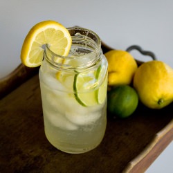 Homemade Soda – Light and Refreshing - Recipe photo by sunnyvegan