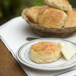 Another Buttermilk Biscuit - Recipe photo by LanaAnn
