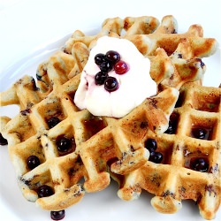 Blueberry Sour Cream Waffles - Recipe photo by brooklynsupper