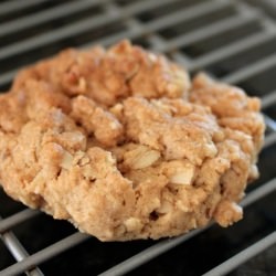 Vegan Peanut Butter Oatmeal Cookie - Recipe photo by milkncookiezzz