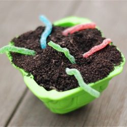Dirt Cake - Recipe photo by TheNaptimeChef