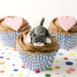 Pet Cupcakes - Recipe photo by alma_objetivocupcake
