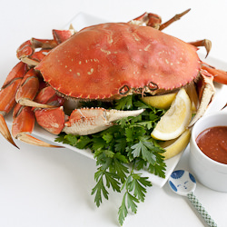 Dungeness Crab Appetizer Tray - Recipe photo by FOODjimoto