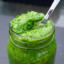Ramp & Arugula Pesto - Recipe photo by piccantedolce