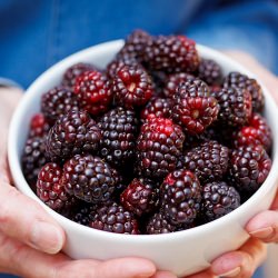 Berry Cobbler with Boysenberries - Recipe photo by Sally Cameron