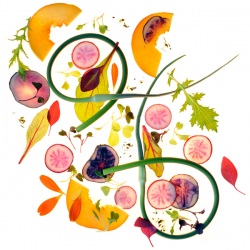 A Snapshot of our Season - Recipe photo by erinschubert