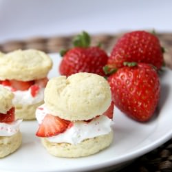 Mini Strawberry Shortcake Poppers - Recipe photo by snappygourmet
