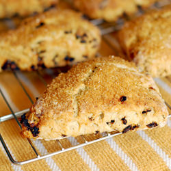 Dried Cherry Buttermilk Scones - Recipe photo by beth_hyzy