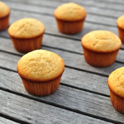 Busy-Day Cupcakes - Recipe photo by nettleandquince