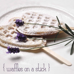 Waffles on a Stick - Recipe photo by nifty thrifty things