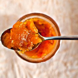 Mango Chutney - Recipe photo by rx4foodies