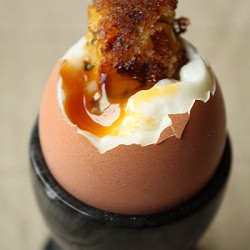 Soft Boiled Eggs - Recipe photo by thepast