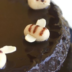 Honey Chocolate Cake - Recipe photo by nutsaboutfood