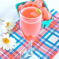 Watermelon Chiller - Recipe photo by sreelu