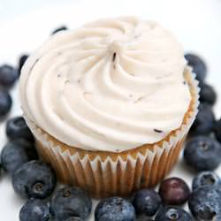 Fresh Blueberry Cupcakes & Frosting - Recipe photo by laraswanson
