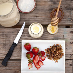 Make Yogurt and Yogurt Cheese - Recipe photo by mbeach