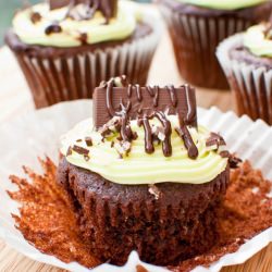 Andes Mint Cupcakes - Recipe photo by mtlabor
