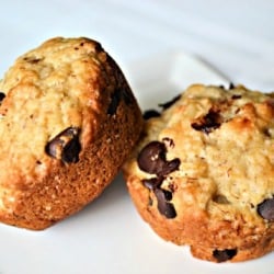 Chocolate Macadamia Nut Muffins - Recipe photo by singerskitchen