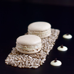 Sunflower Seed Macarons - Recipe photo by ThePleasureMonger