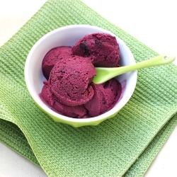 Blueberry Sherbet - Recipe photo by Mind Over Batter