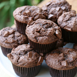 Chocolate Chunk Muffins - Recipe photo by foodlibrarian