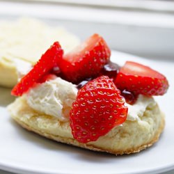 Scones w/ Jam & Clotted Cream - Recipe photo by meg180