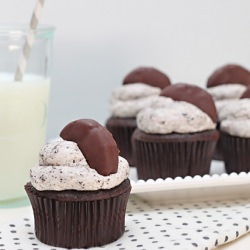 Chocolate Covered Oreo Cupcakes - Recipe photo by Taste See
