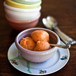 Nectarine Sherbet - Recipe photo by yummy supper