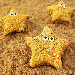 Starfish S'mores - Recipe photo by Hungry Happenings