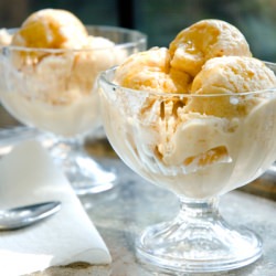 Apricot Nectarine Frozen Yogurt - Recipe photo by notkristina