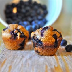 Whole Wheat Blueberry Muffin - Recipe photo by cooking4carnivores