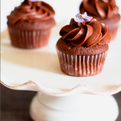 Chocolate Cupcakes - Recipe photo by anemone
