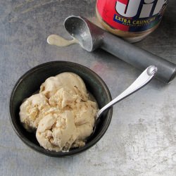 Peanut Butter Ice Cream - Recipe photo by missinthekitchen