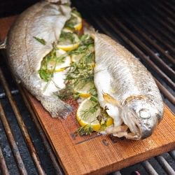 Cedar Plank Smoked Whole Trout - Recipe photo by unWined