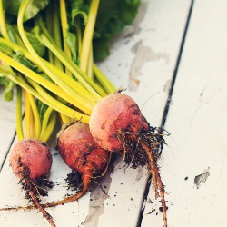 Salt Roasted Beet Salad - Recipe photo by GuiltyKitchen