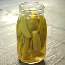 Pickled Snap Peas - Recipe photo by teacher-chef