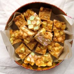 Butterscotch Confetti Squares - Recipe photo by kickpleat