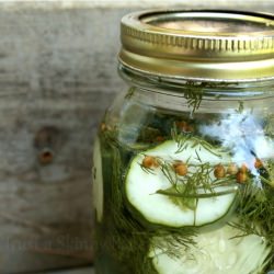 Refrigerator Pickles - Recipe photo by notsoskinnybaker