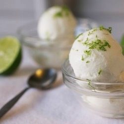 Coconut Lime Sorta-Sorbet - Recipe photo by hopefulkitchen