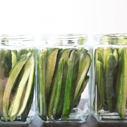 Quick & Easy Homemade Dill Pickles - Recipe photo by BigAppleNosh
