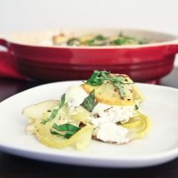 Squash, Potato, Goat Cheese Gratin - Recipe photo by BigAppleNosh
