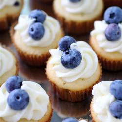 Blueberry Cupcakes - Recipe photo by Shanon