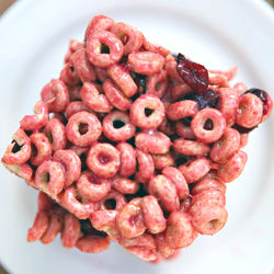 Cranberry Oat Cereal Bars - Recipe photo by laraswanson