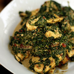 Saag Paneer - Recipe photo by Jane Deere