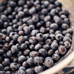 Blueberry Syrup, Pickles & Salsa - Recipe photo by Wallflower