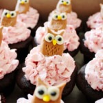 Owl Cupcakes - Recipe photo by CakeStory