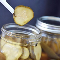 Spicy Dill Pickles - Recipe photo by runswithspatulas