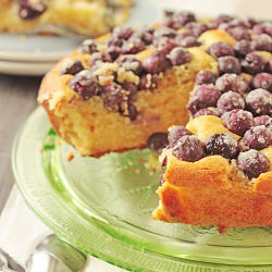 Concord Grape & Rosemary Cake - Recipe photo by WhatShesHaving